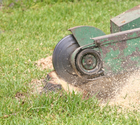 Home Stump Grinding